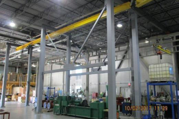 Canada plant photo 6